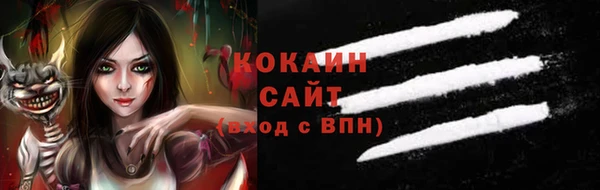ПСИЛОЦИБИНОВЫЕ ГРИБЫ Весьегонск