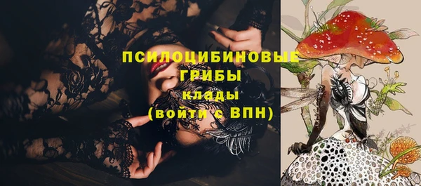 ПСИЛОЦИБИНОВЫЕ ГРИБЫ Весьегонск