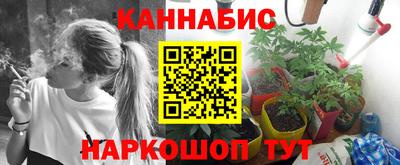прущие грибы Краснознаменск