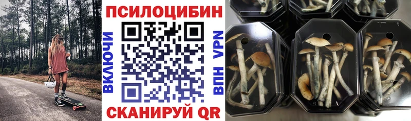 Псилоцибиновые грибы мухоморы  omg ССЫЛКА  Волоколамск 