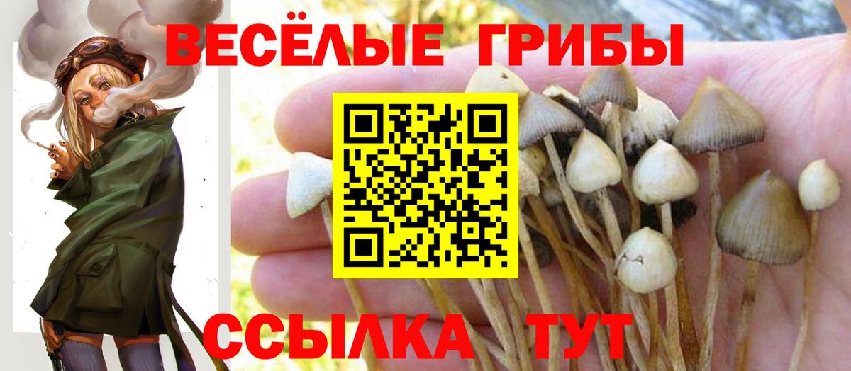 Волоколамск  Псилоцибиновые грибы прущие грибы  Вход с VPN 